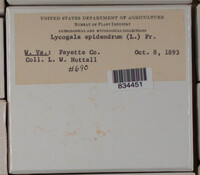 Image Associated With the Occurence